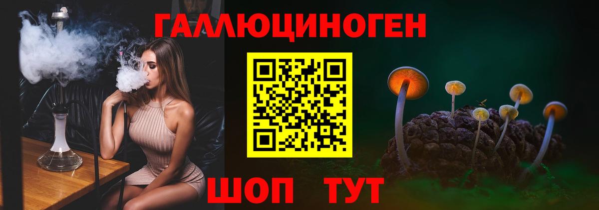 Псилоцибиновые грибы Psilocybe Десногорск